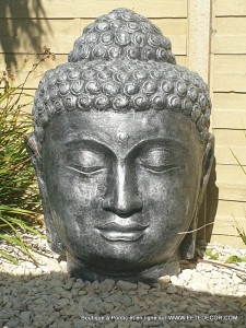 Tête Géante Bouddha
