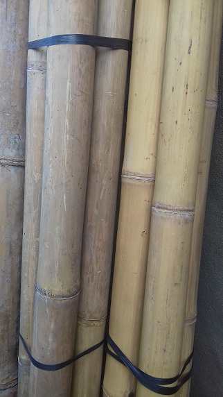 Canne bambou L250 cm diam 10/12