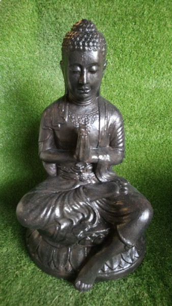 Bouddha en lotus et prière