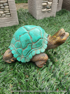 Tortue turquoise