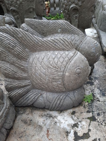 Poisson Roche Volcanique